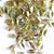 www.colourstreams.com.au Colour Streams Sequins Embellishments Costumes Mardi Gras Dancing Ballet Theatre Shows Drag Queen Bling Australia Canada NZ USA  Leaf Folded Pale Gold Iridescent Mauve Green Reflective Shiny Pale Gold and Silver with Multi Lights 9mm x 7mm S133