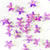 www.colourstreams.com.au Colour Streams Sequins Embellishments Costumes Mardi Gras Dancing Ballet Theatre Shows Drag Queen Bling S199 Iridescent Pale Pink with Blue and Gold Lights Daisy Shape Shiny 10mm
